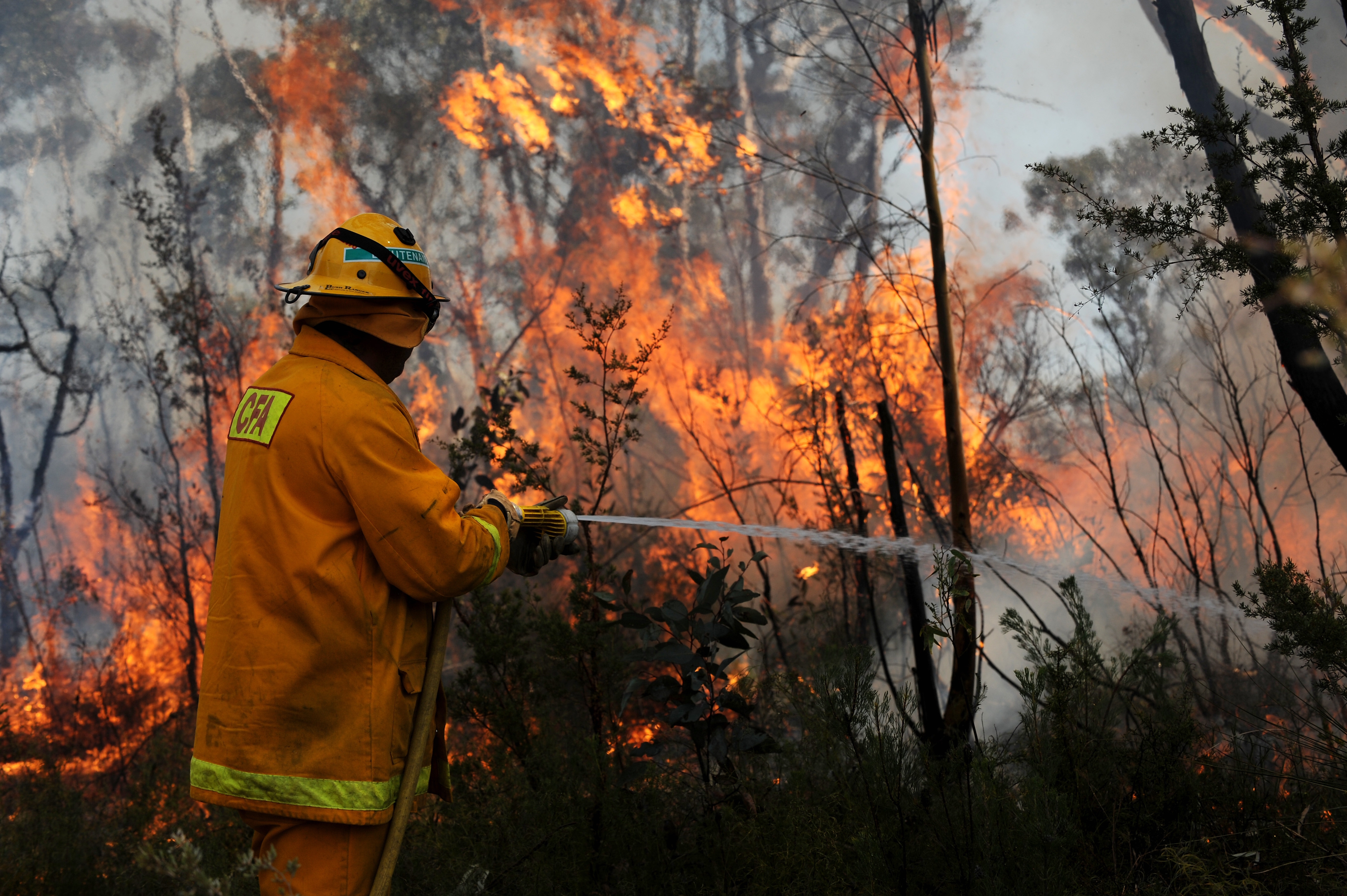 Fire in Sweden 1998. Bushfire перевод. Victoria and Tasmania Bushfire.