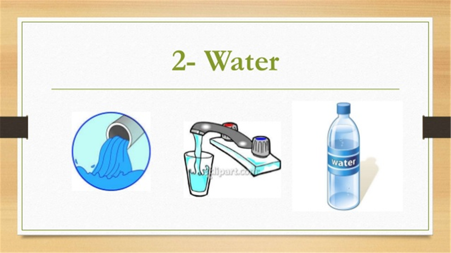 Basic Needs of Living Things at emaze Presentation