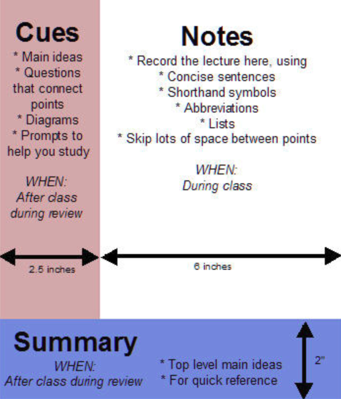 Cornell Notes. Cornell Note taking. The Cornell Notes method. Диаграмма Корнелла.