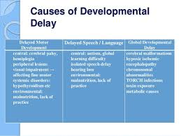 Developmental Delays On Emaze