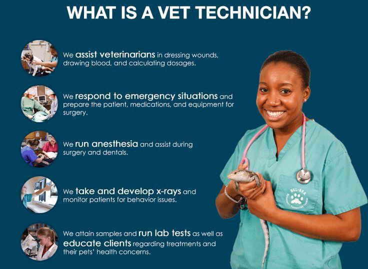 Delgado Veterinary Technology Program Home Facebook