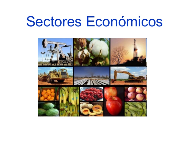 Sectores Economicos On Emaze