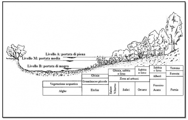 Può Formarsi Presso Il Delta Di Un Fiume