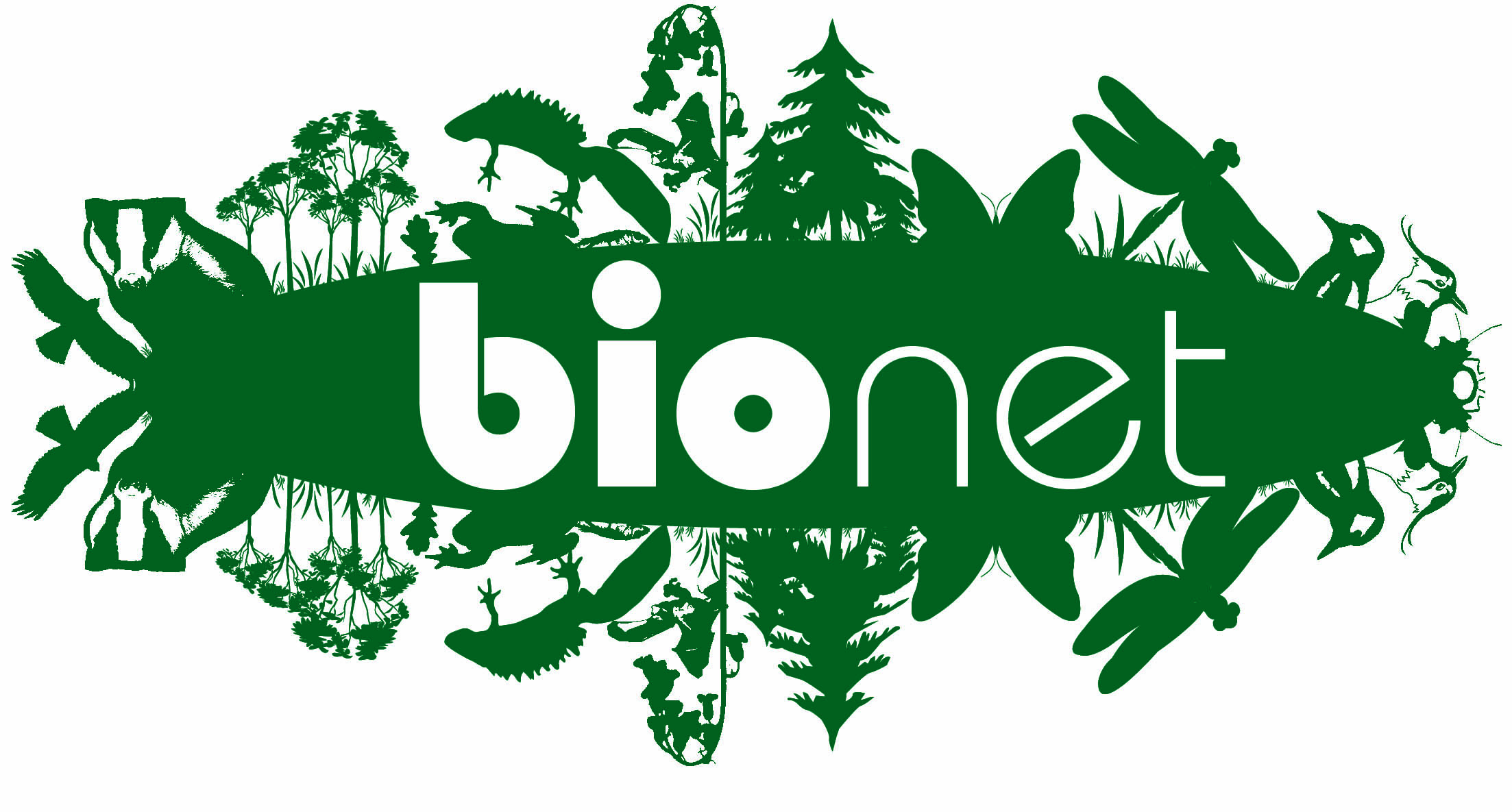 Linear and torsional dislocation. Find the objects for kids. Tangent line equation. Also find. Find the equation of the tangent line to the curve.