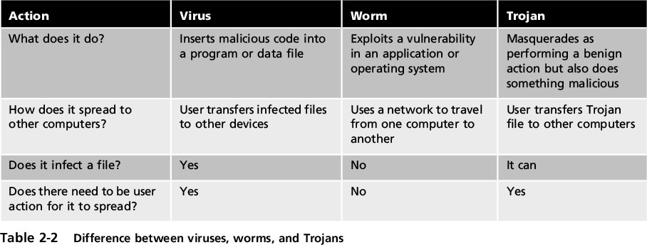 Перевод песни trojan horse sebastian. Computer virus and worm. Network worm virus. What is a Trojan Horse virus?. The first worm вирусы.