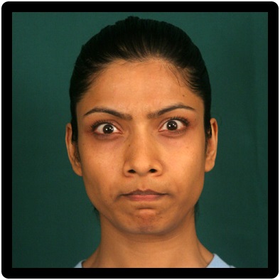 Micro Expressions at emaze Presentation