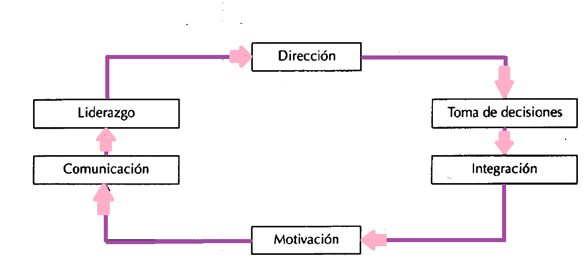 Resultado de imagen para principios de la direccion