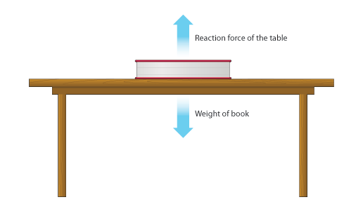 On the right of the table. Таблица in on under. Under the table. Set the table рисунок. The book is on the table.