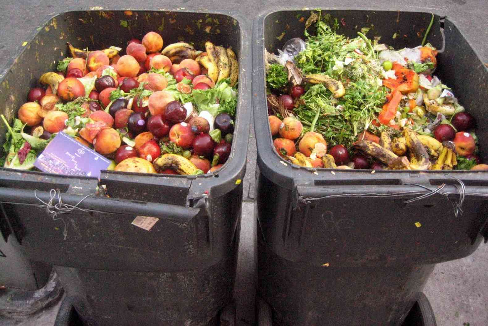 Пищевые отходы утилизация. Контейнер для овощей. Отходы овощей и фруктов. Ведро еды.