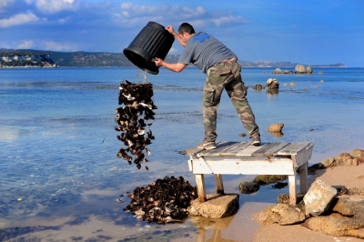 Resultado de imagen para personas arrojando basura al mar