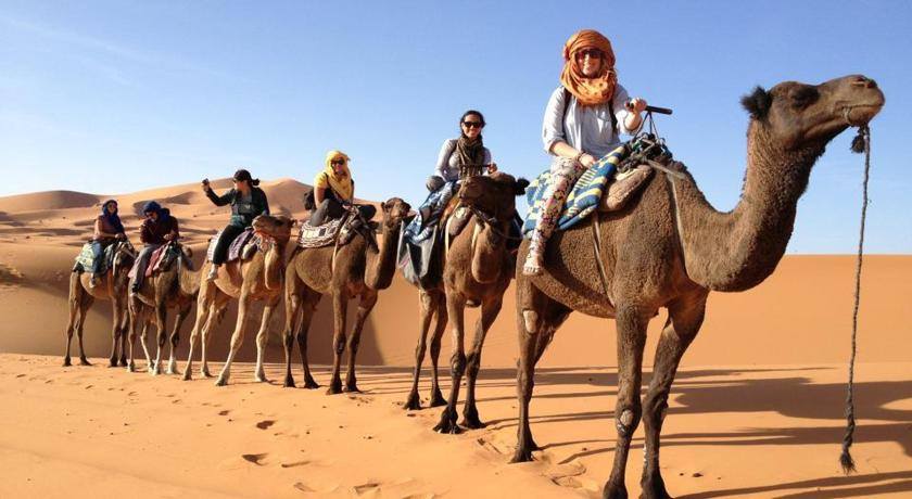 Люди каравана. Марокко Верблюды. Человек с верблюдом в пустыне. Караван в пустыне. Верблюды Караван.