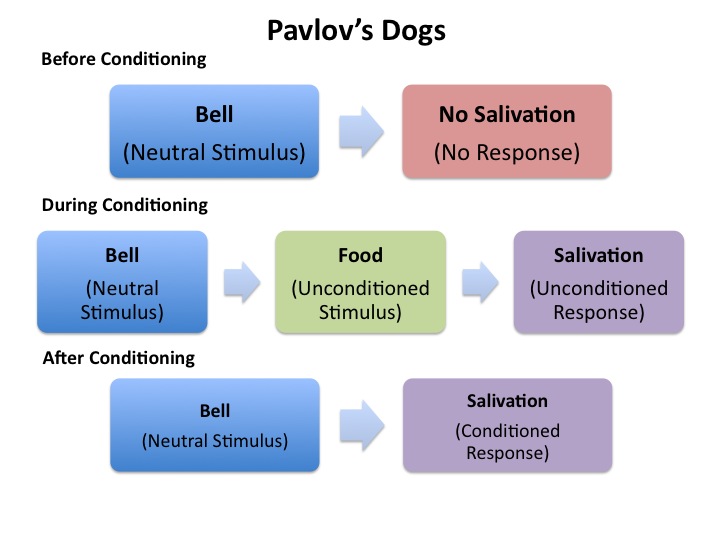 Behaviorism Learning Theory at emaze Presentation
