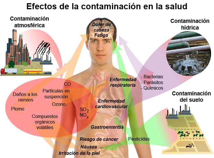 Actividad 3 Identificar Las Unidades En Las Que Se Miden Los Distintos Tipos De Contaminación 7248