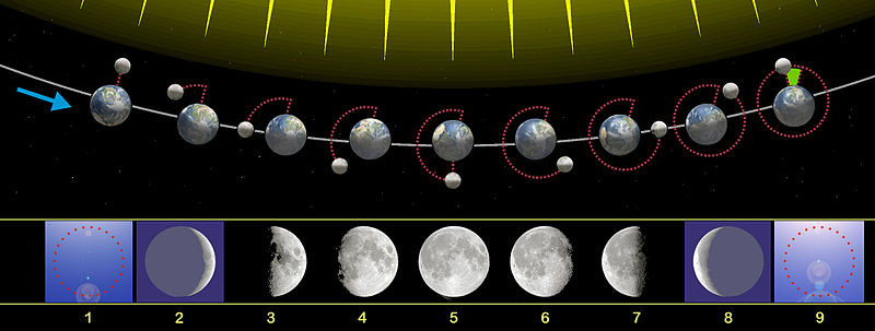 Les Phases De La Lune