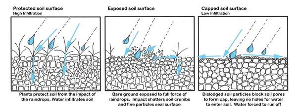 factors impacting raindrop shape