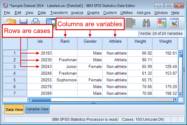 Labeling dataset. Кластерный анализ в SPSS. SPSS data and variable view. Факторный анализ SPSS. Ранги в спсс.