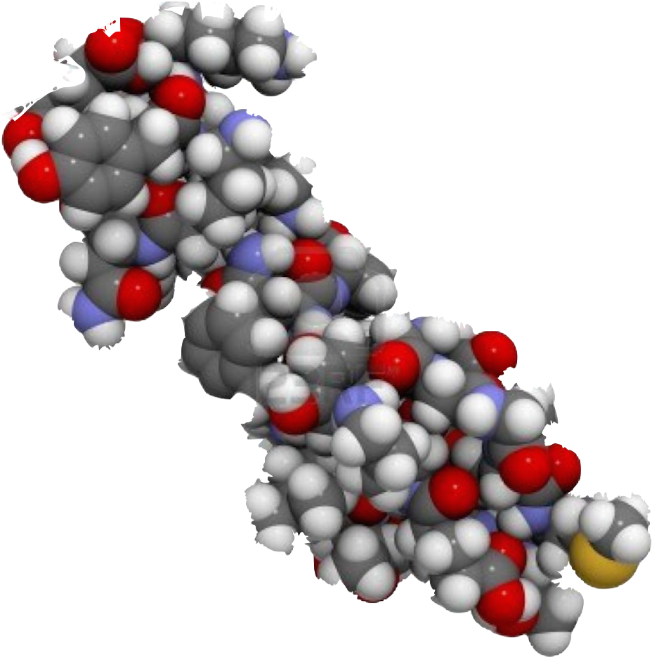 Эндорфин speed up. Эндорфины молекула. Аминокислоты анимация. Аминокислоты gif. Эндорфин модель.