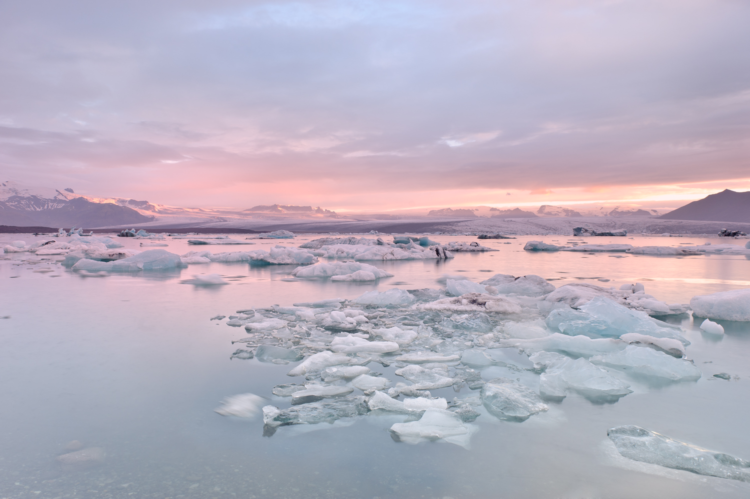 save-the-polar-bears-on-emaze