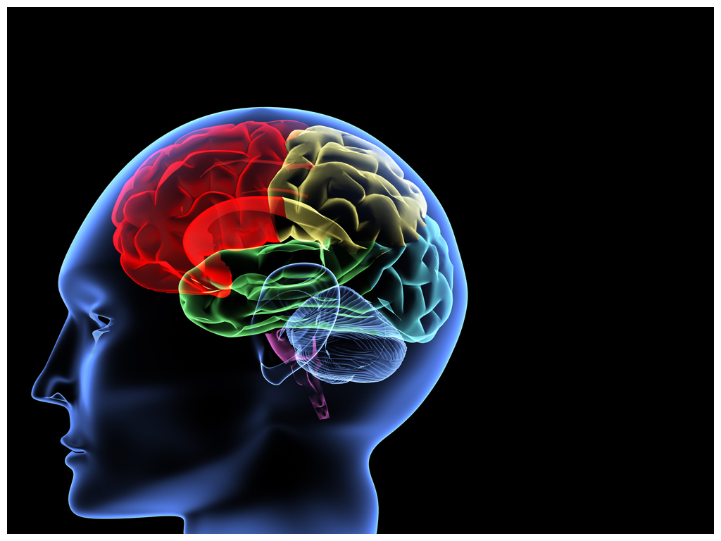LAS 5 MENTES DEL FUTURO on emaze LAS 5 MENTES DEL FUTURO on emaze