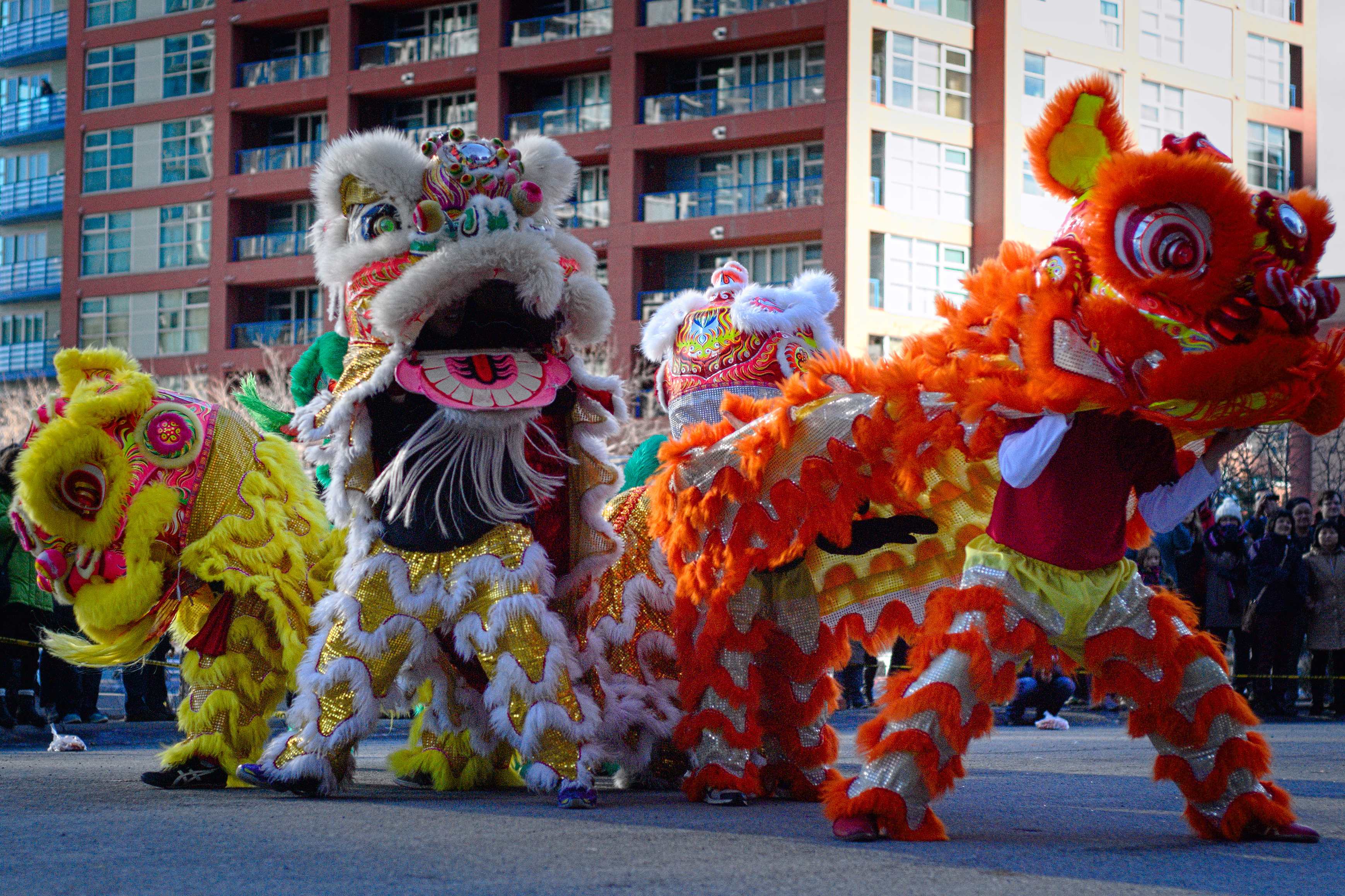 Divine beast dancing lion. Китайский Лев. Танец с драконами. Китайский танец Льва. Танец Льва в Китае.