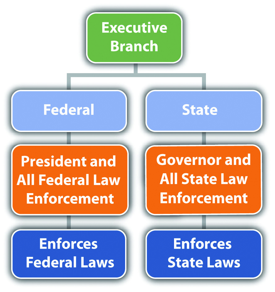 What is the executive branch made up of?