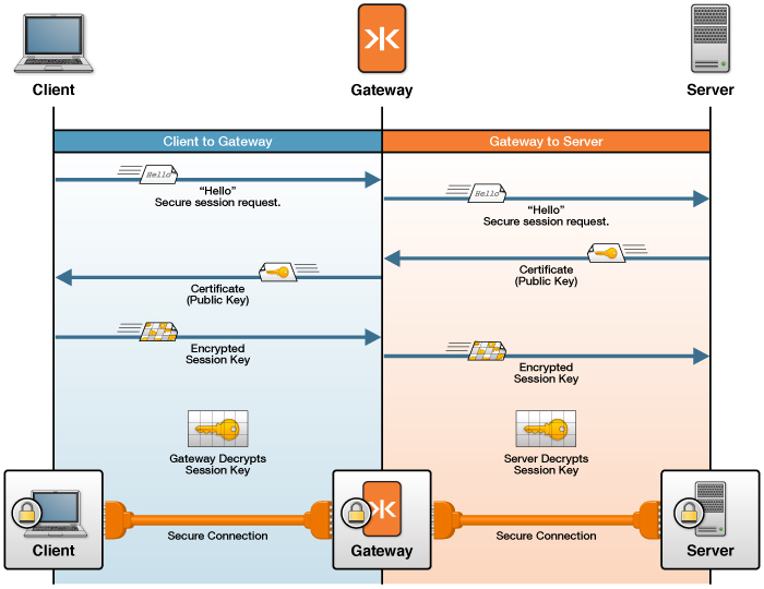 Клиент и сервер разные протоколы ssl. TLS шлюз. Secure TLS connection. Стандартное шифрование (TLS). ТЛС шлюз.