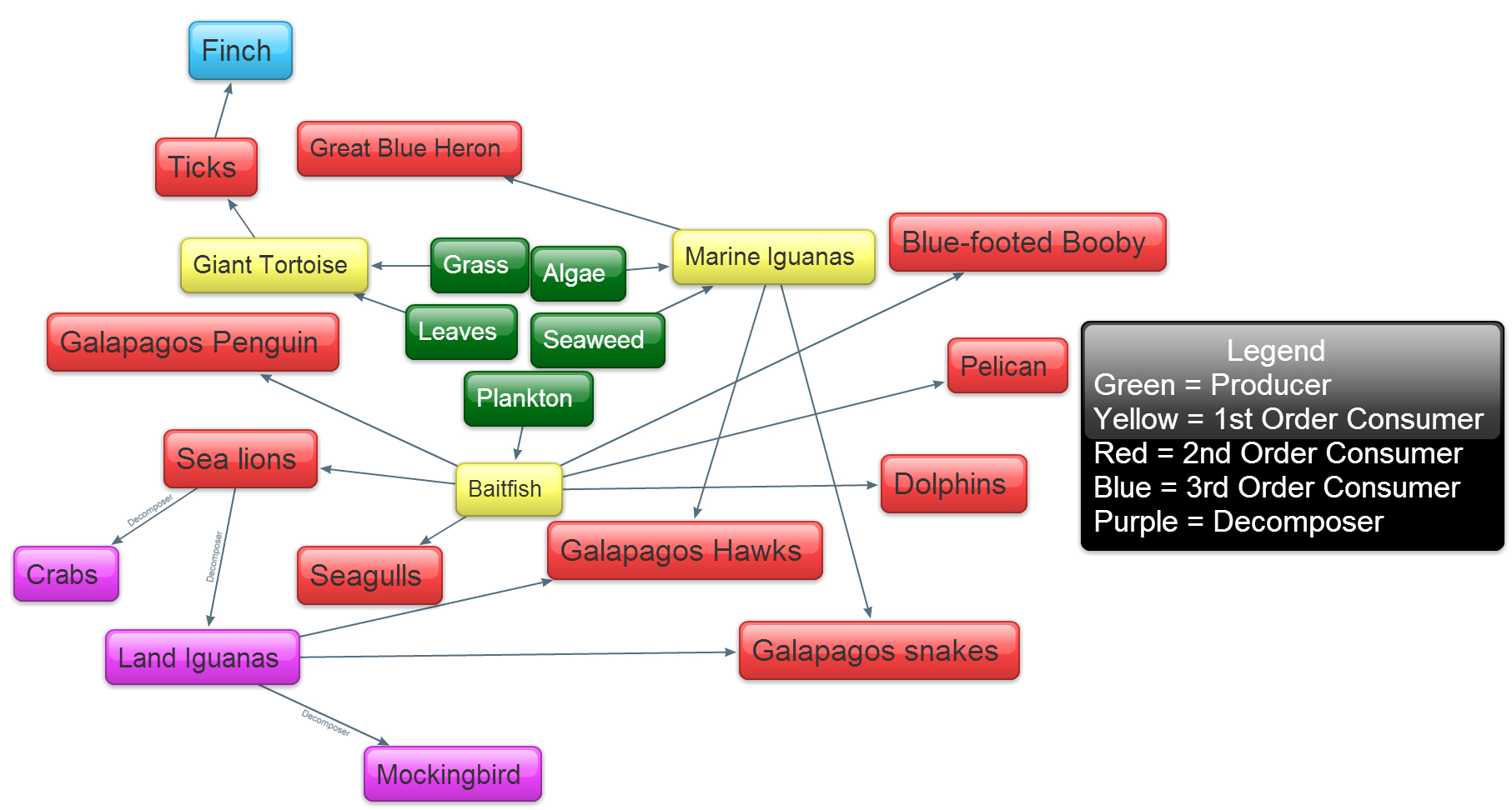 Food Chains And Webs Discovering Galapagos - vrogue.co