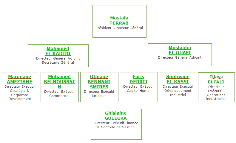 organigramme ocp jorf lasfar