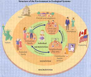 O Modelo Ecológico by gornelasoares on emaze