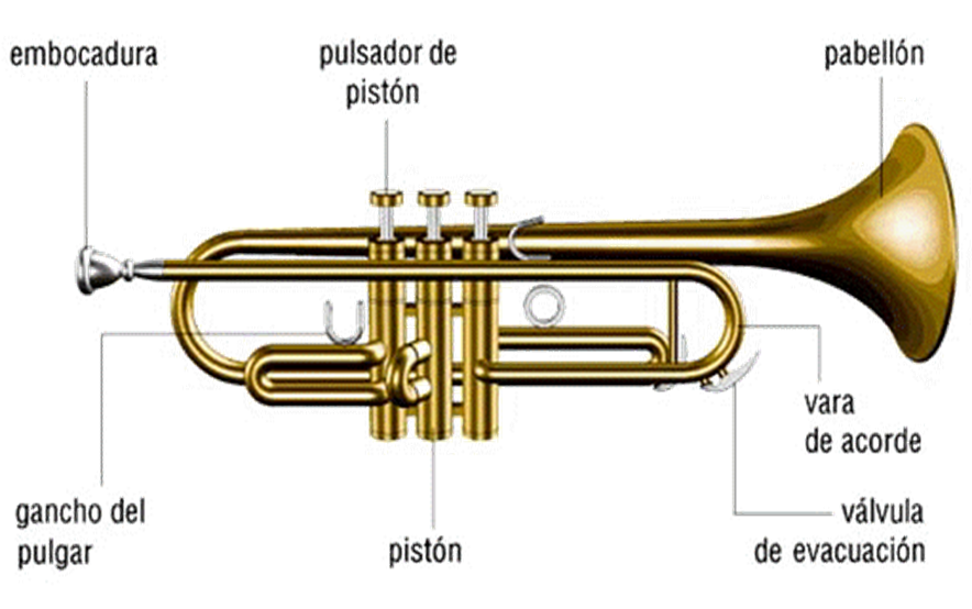 Trumpet перевод. Le Trompette строение. Trumpet for Dummies.