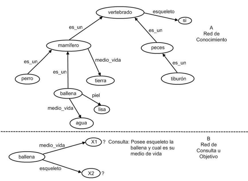 Resultado de imagen para redes semanticas ejemplos