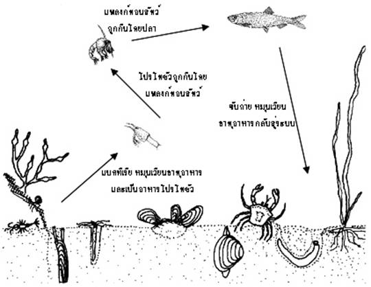 Industrial in Biome on emaze Biology Diagrams
