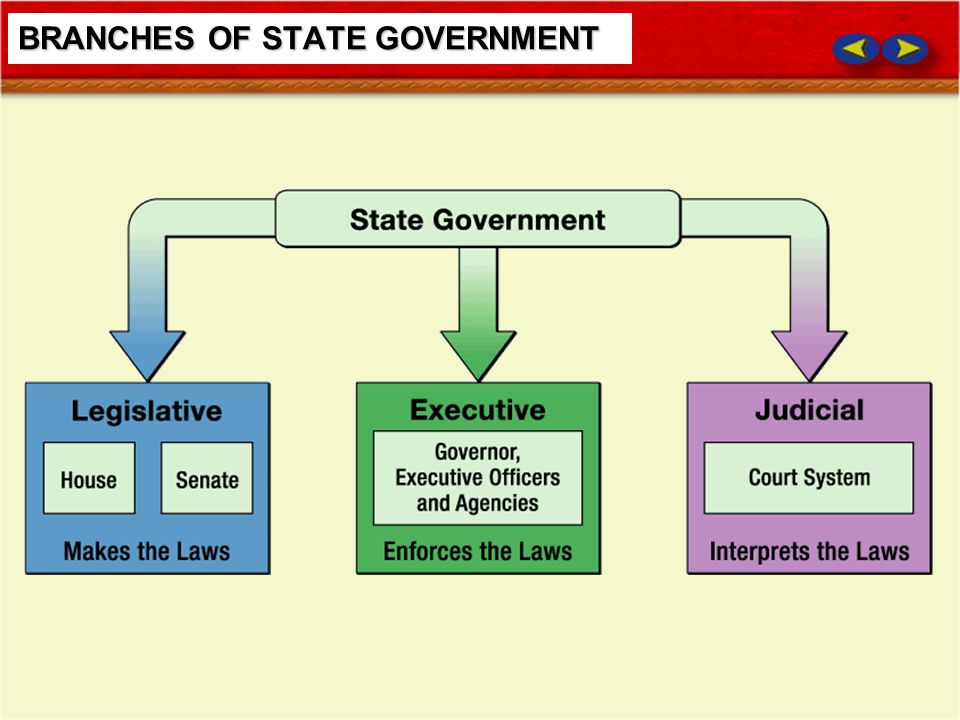 what is the leader of the state level of government called