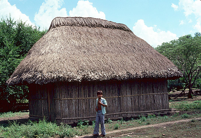 Aztecs Houses