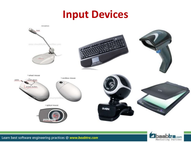 Input Devices Examples  www.imgkid.com - The Image Kid 