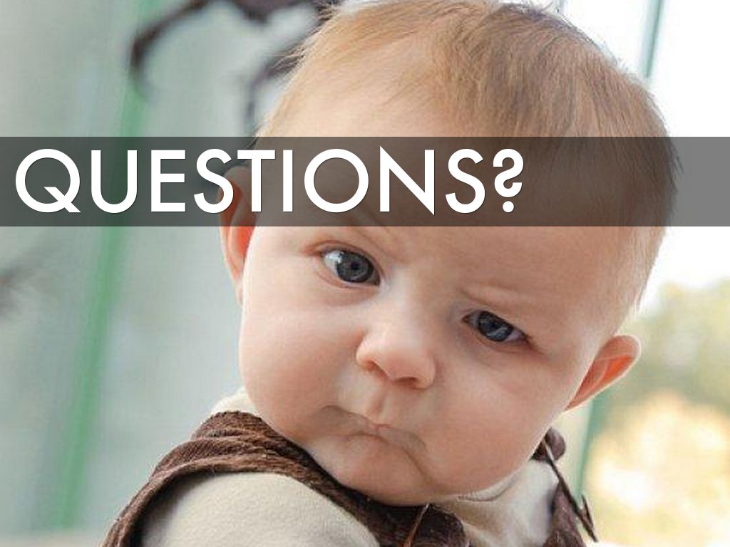 Fun questions. Any questions картинка. Мем any questions. Questions смешные картинки. Do you have any questions Мем.