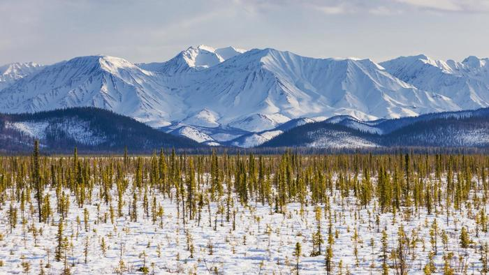 tundra 2016 on emaze