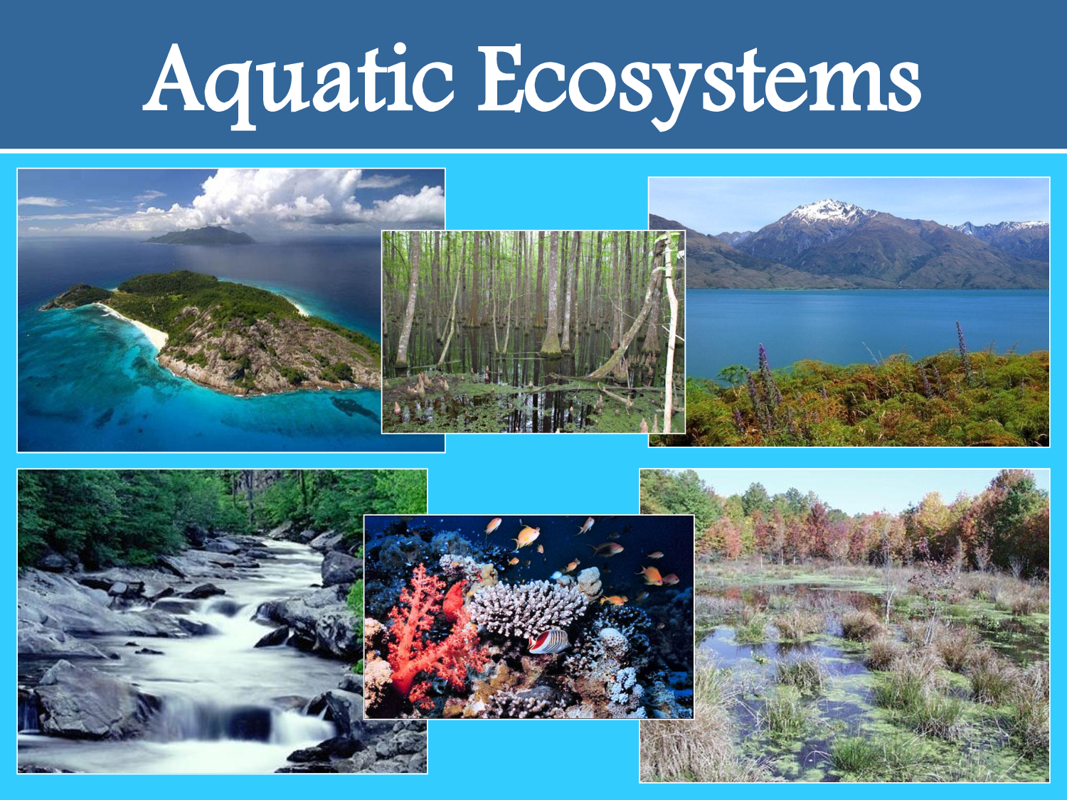 Water-Related Ecosystems on emaze