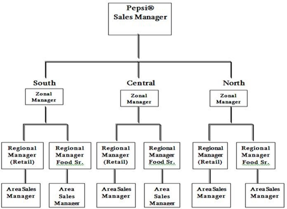 Organizational Chart Of Pepsi Company