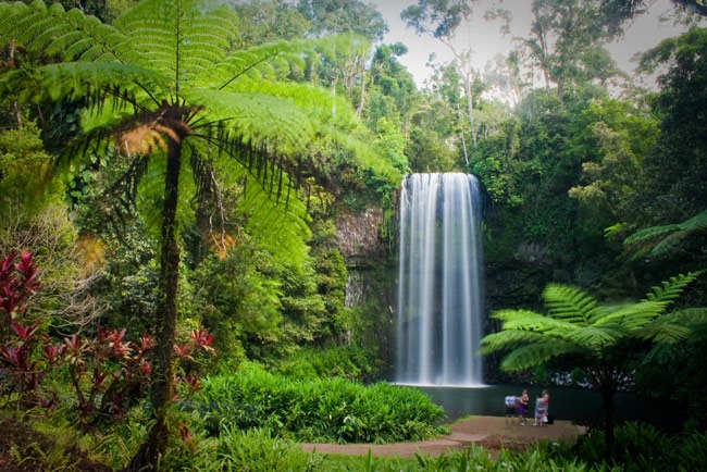 Tropical Rainforest Biome At Emaze Presentation