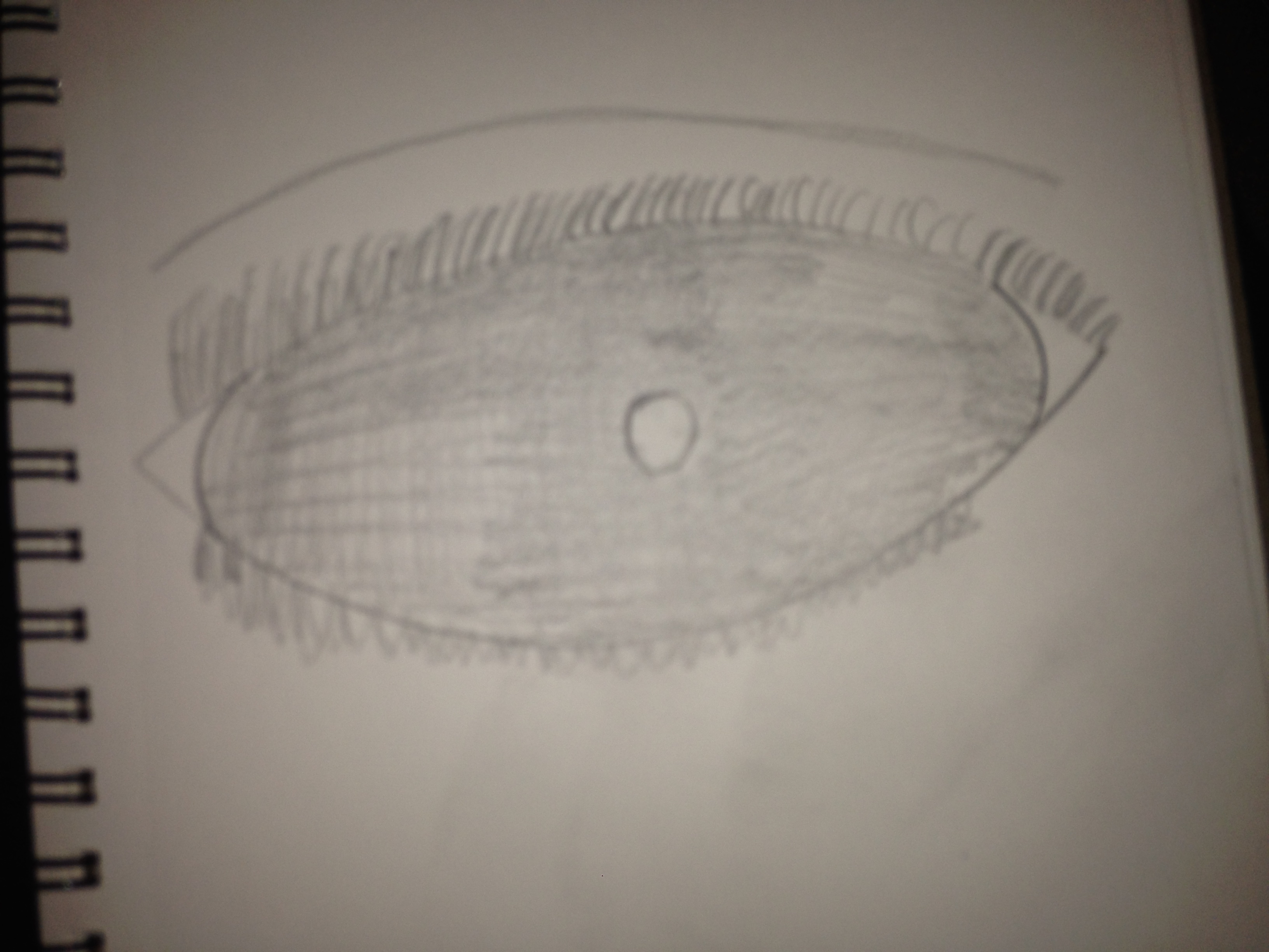 How To Sketch An Eye By Amanid755 On Emaze