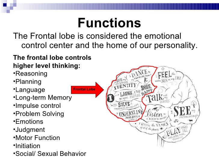 Effects of alcohol on the Brain Development at emaze Presentation