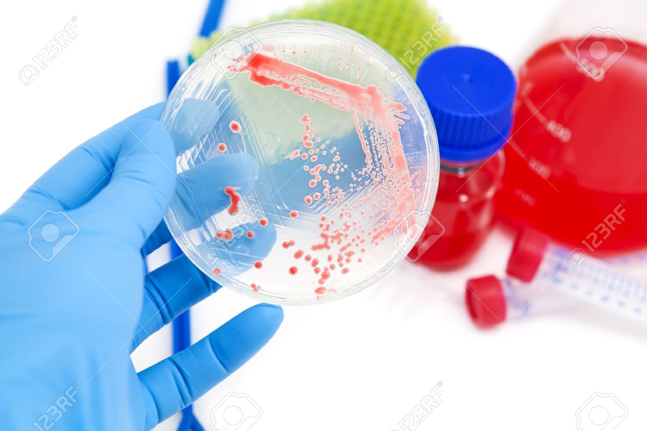 Resultado de imagen para biotecnología roja