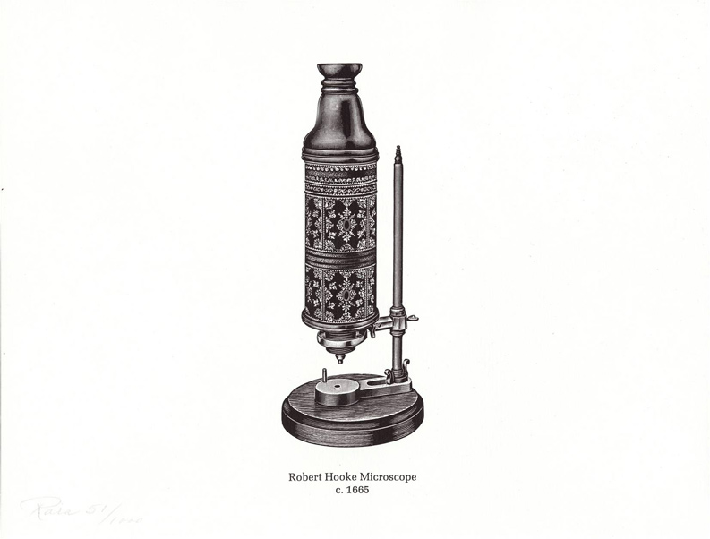 History of microscopes at emaze Presentation