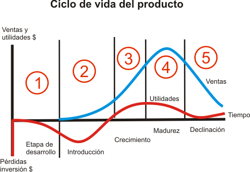 Etapas del ciclo mestrual