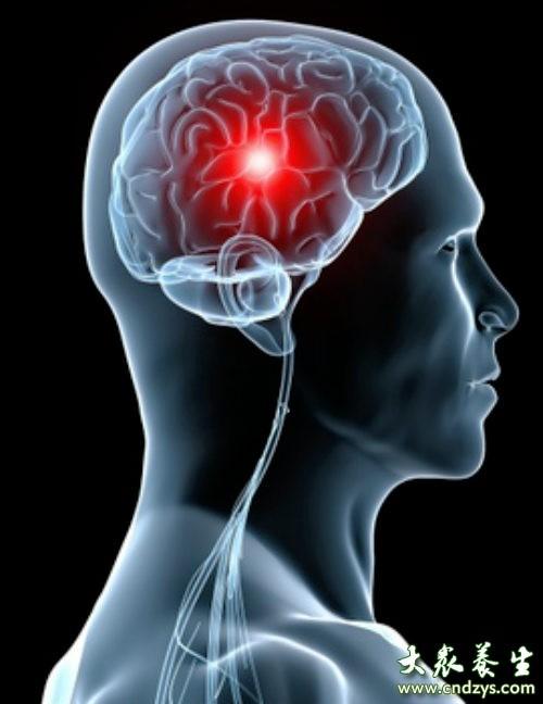 Resultado de imagen para infecciones del sistema nervioso