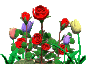 Picture background