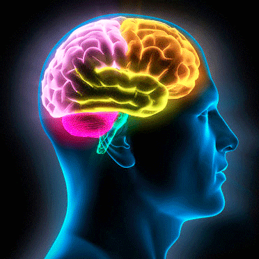 Resultado de imagen para imagenes de inteligencia