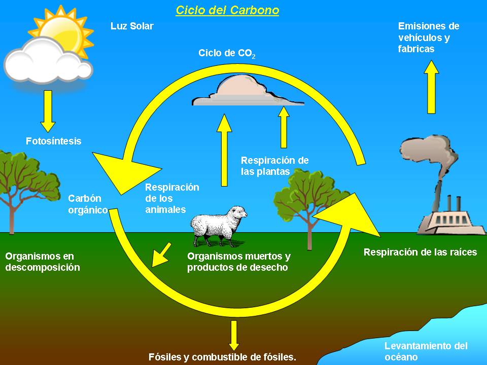 Imagen relacionada