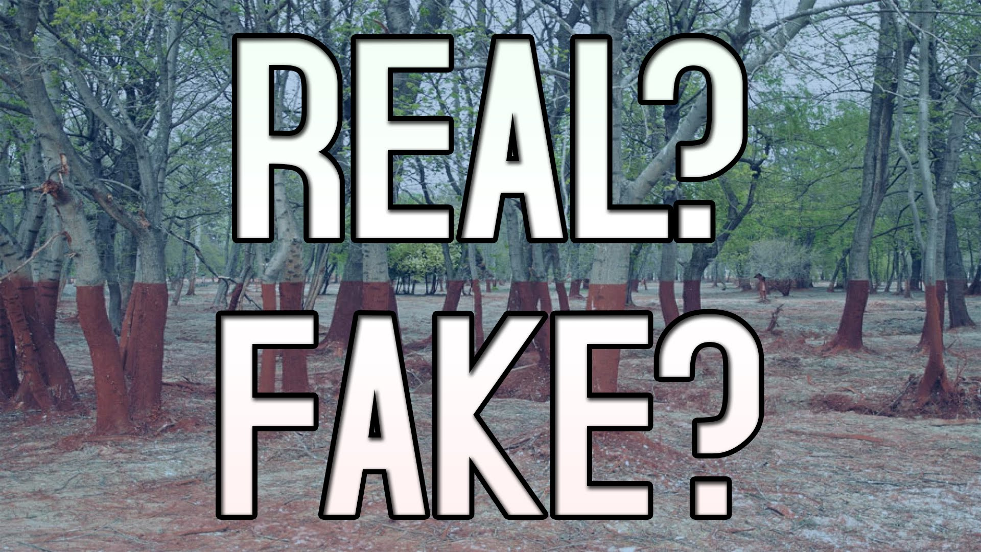 Real or fake the ai game onrender